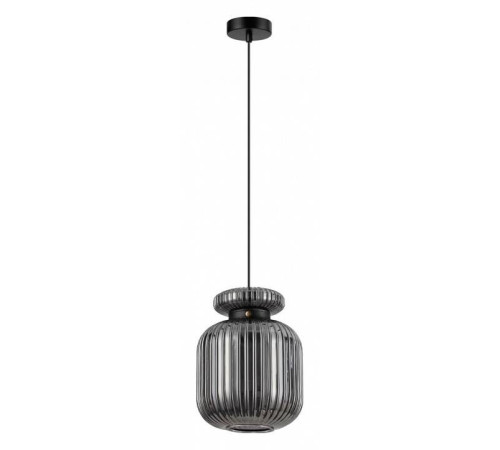 Подвесной светильник Odeon Light Jugi 5042/1B