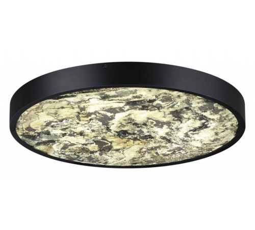 Накладной светильник Odeon Light Bergi 5064/40L