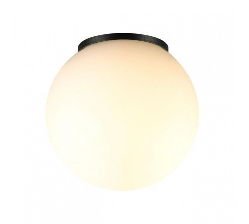 Накладной светильник Odeon Light NATURE 7124/1C