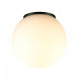 Накладной светильник Odeon Light NATURE 7124/1C