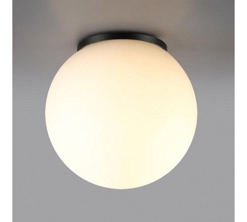 Накладной светильник Odeon Light NATURE 7124/1C