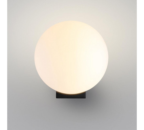 Накладной светильник Odeon Light NATURE 7124/1WA