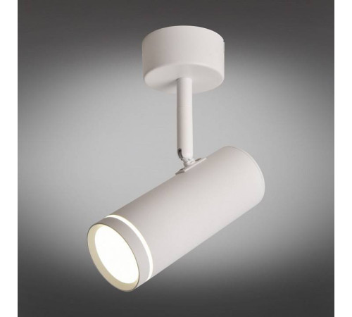 Светильник на штанге Omnilux Deruta OML-102219-12