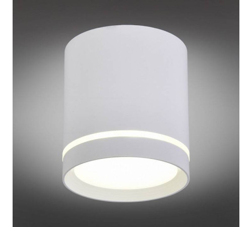 Накладной светильник Omnilux Capurso OML-102409-05