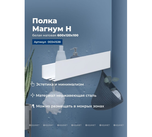 Полка Aquanet Магнум Н 600х120х100 мм белый матовый 00341538
