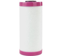 Картридж Гейзер Fe 20BB для удаления железа 28200