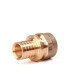 Переходник с внутренней резьбой REHAU RAUTITAN RX+ 40-Rp 1 1/4 14563343001