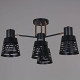 Потолочная люстра 06074-3.3-04 BK+FG