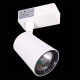 Светильник на штанге Reluce 06115-9.3-001QY LED15W WT