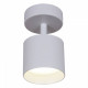 Спот 53019 53019-9.5-001IL SPOT LIGHT GX53 WT