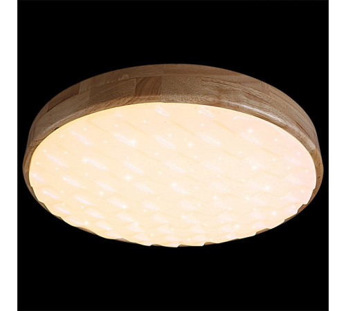 Накладной светильник 60530-0.2-60W