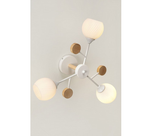 Люстра на штанге Rivoli Chiara Б0068427