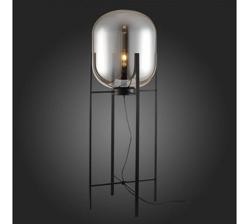 Торшер ST-Luce Burasca SL1050.725.01