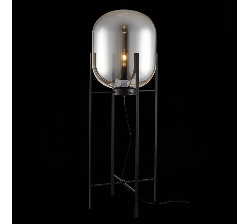 Торшер ST-Luce Burasca SL1050.725.01