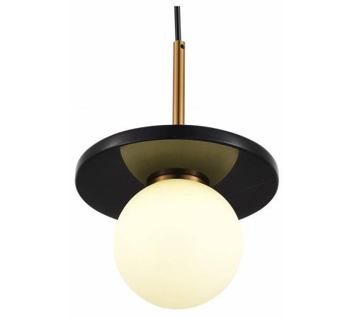 Подвесной светильник ST-Luce Nebula SL1191.343.01