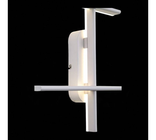 Накладной светильник ST-Luce Basoni SL394.501.04