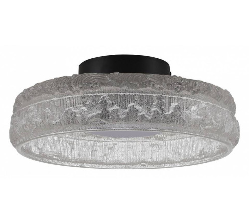 Накладной светильник ST-Luce ANTIKE SL6143.402.01