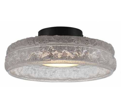 Накладной светильник ST-Luce ANTIKE SL6143.402.01