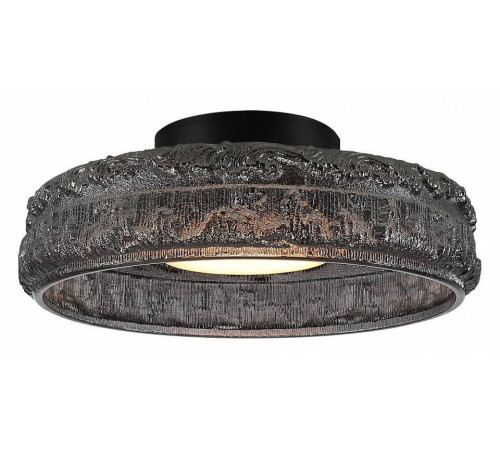 Накладной светильник ST-Luce ANTIKE SL6143.412.01