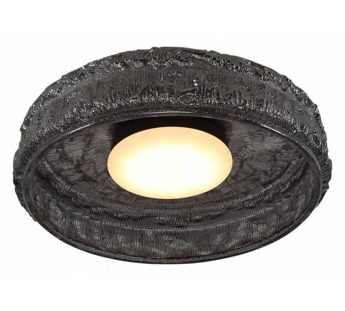 Накладной светильник ST-Luce ANTIKE SL6143.412.01