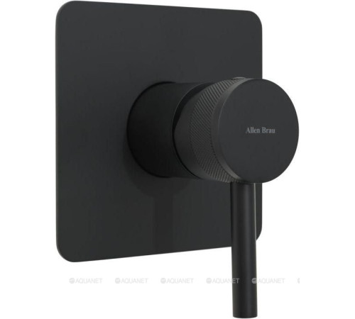 Смеситель встраиваемый для душа Allen Brau Priority 1 выход Easy box черный 5.31012-31