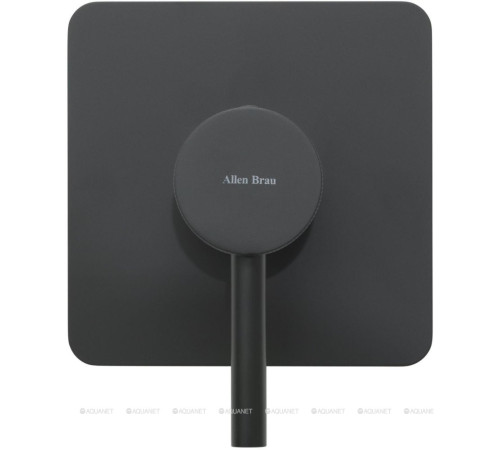 Смеситель встраиваемый для душа Allen Brau Priority 1 выход Easy box черный 5.31012-31