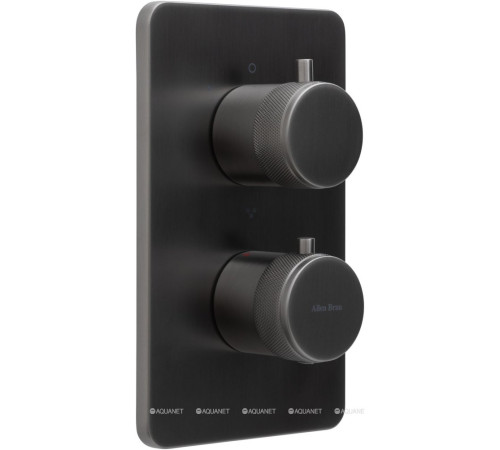 Термостат Allen Brau Priority V.3 Vernet Easy box брашированный графит 5.31314-MG