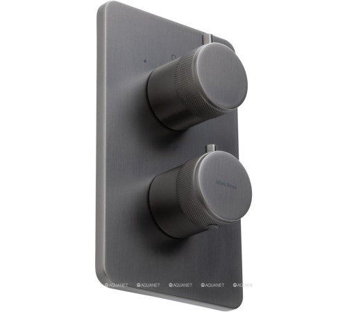 Термостат Allen Brau Priority V.3 Vernet Easy box брашированный графит 5.31314-MG