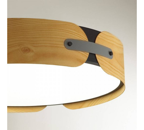 Накладной светильник Sonex Coraggio 7721/120L