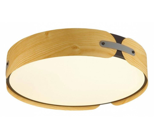 Накладной светильник Sonex Coraggio 7721/65L