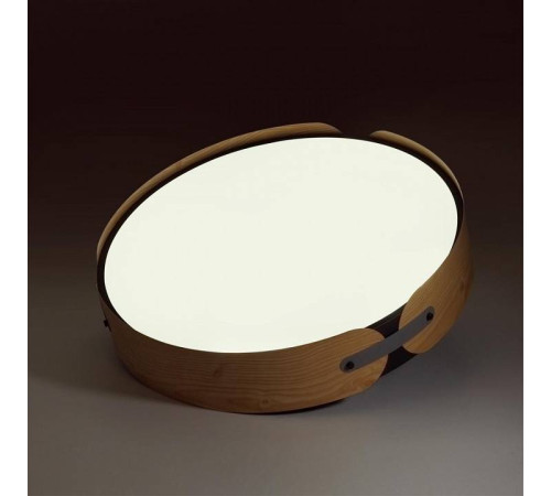 Накладной светильник Sonex Coraggio 7721/65L