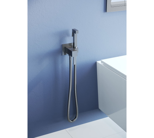 Гигиенический душ со смесителем RGW SP-212Gr серый 581408212-11