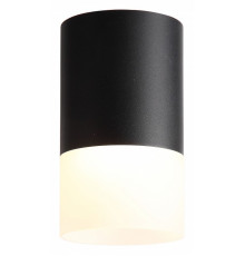 Накладной светильник ST-Luce Ottu ST100.402.05