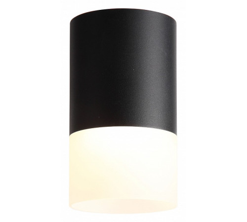 Накладной светильник ST-Luce Ottu ST100.402.05