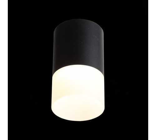 Накладной светильник ST-Luce Ottu ST100.402.05