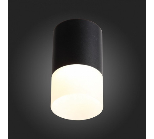 Накладной светильник ST-Luce Ottu ST100.402.05