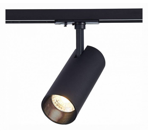 Светильник на штанге ST-Luce Mono ST350.436.15.36