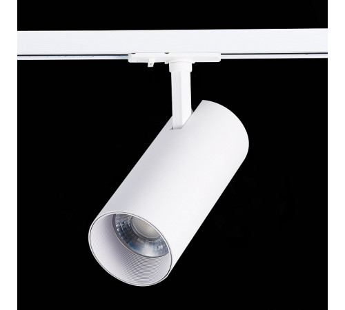 Светильник на штанге ST-Luce Mono ST350.536.30.24