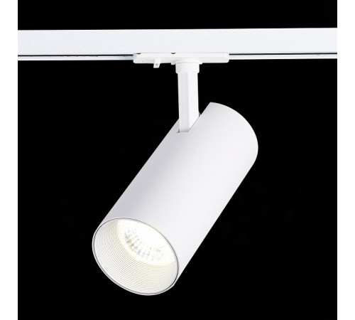 Светильник на штанге ST-Luce Mono ST350.536.30.24