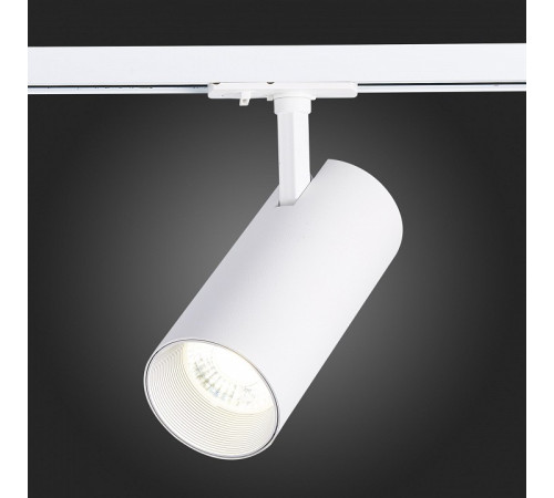 Светильник на штанге ST-Luce Mono ST350.536.30.24