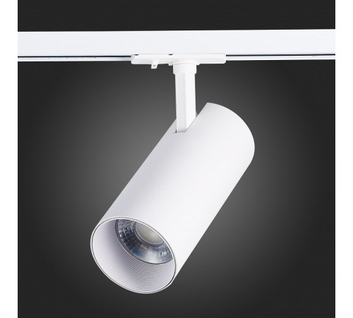 Светильник на штанге ST-Luce Mono ST350.536.30.24