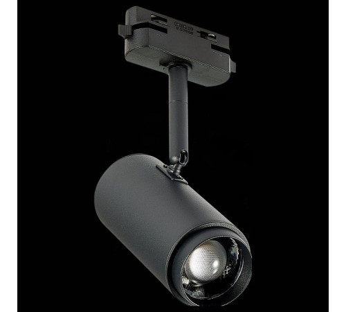 Светильник на штанге ST-Luce Zoom ST600.436.12