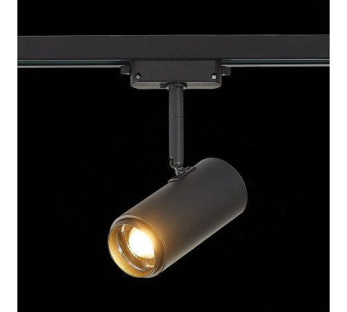 Светильник на штанге ST-Luce Zoom ST600.436.12