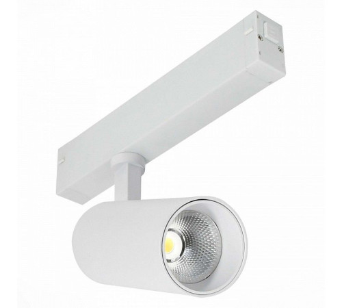 Светильник на штанге ST-Luce SKYLINE 220 ST660.546.20H
