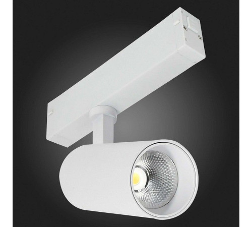 Светильник на штанге ST-Luce SKYLINE 220 ST660.596.10H