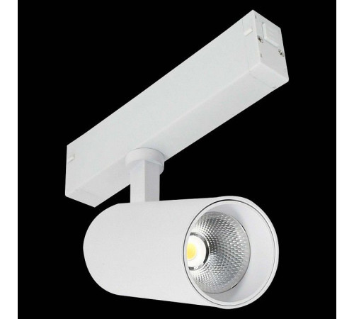 Светильник на штанге ST-Luce SKYLINE 220 ST660.596.10H