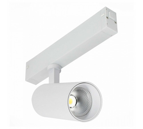 Светильник на штанге ST-Luce SKYLINE 220 ST660.596.20H