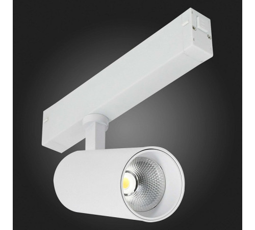 Светильник на штанге ST-Luce SKYLINE 220 ST660.596.20H