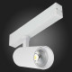 Светильник на штанге ST-Luce SKYLINE 220 ST660.596.20H
