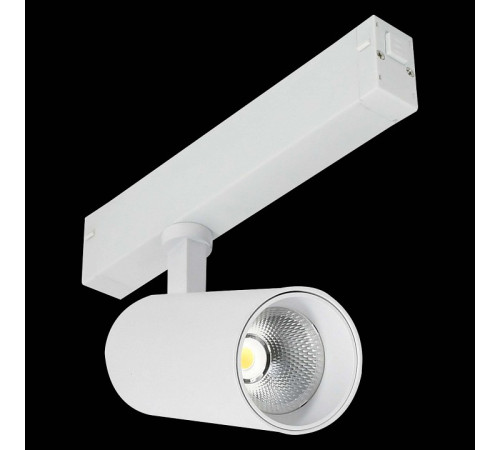 Светильник на штанге ST-Luce SKYLINE 220 ST660.596.20H